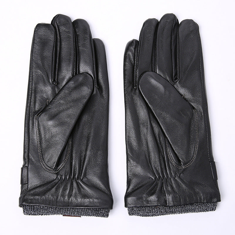 Pair of black leather gloves on a white background