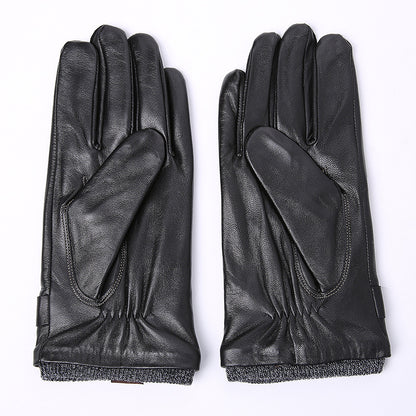 Pair of black leather gloves on a white background